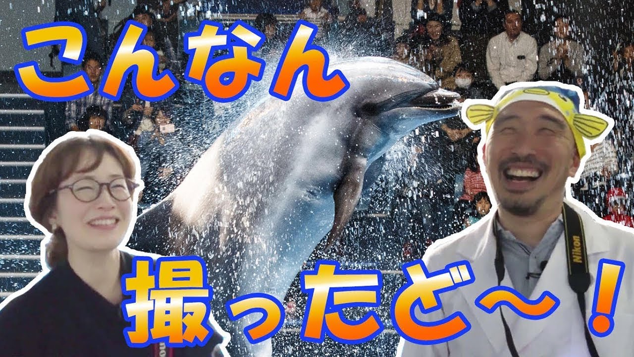 【カメラ】カメ学史上難易度MAXのイルカショーを攻略！？【望遠レンズ】アクアパーク品川編第５話