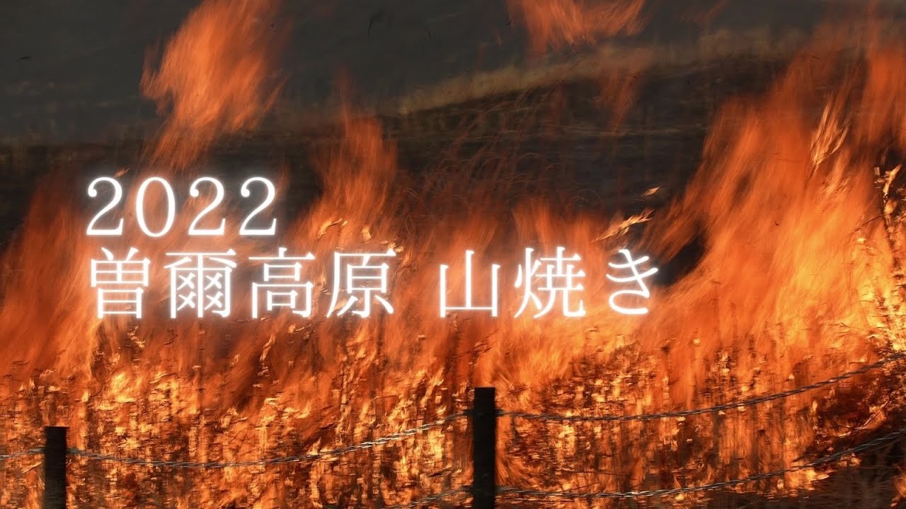 2022年 曽爾高原の山焼き（3月5日）／Soni hailands yamayaki