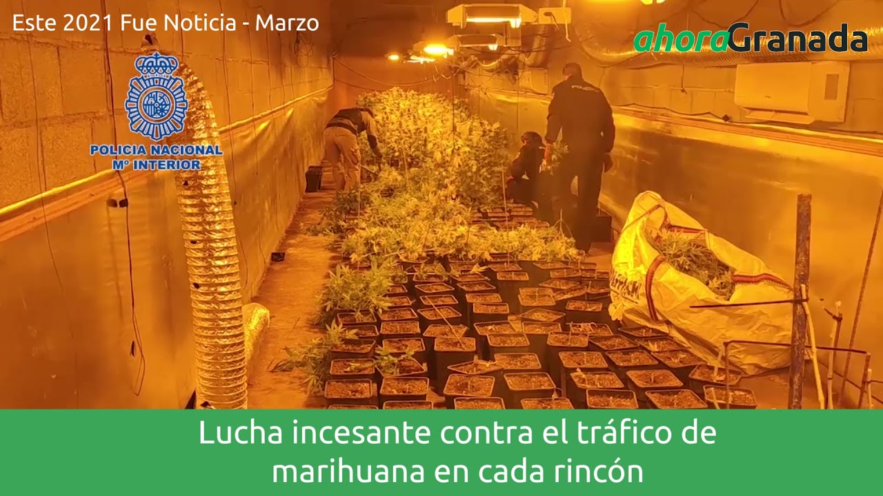 Anuario 2021 | Las noticias de Granada en marzo