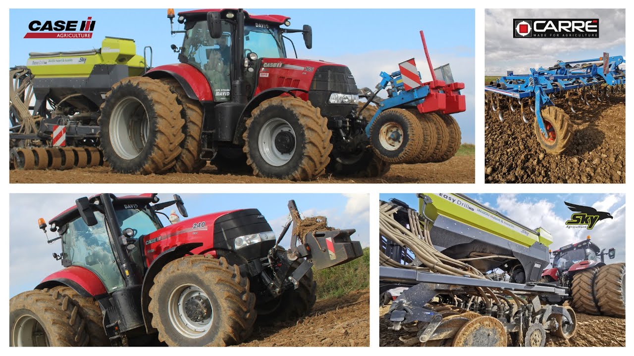 Semis de blé 2021 / SKY EASY DRILL / CASE IH