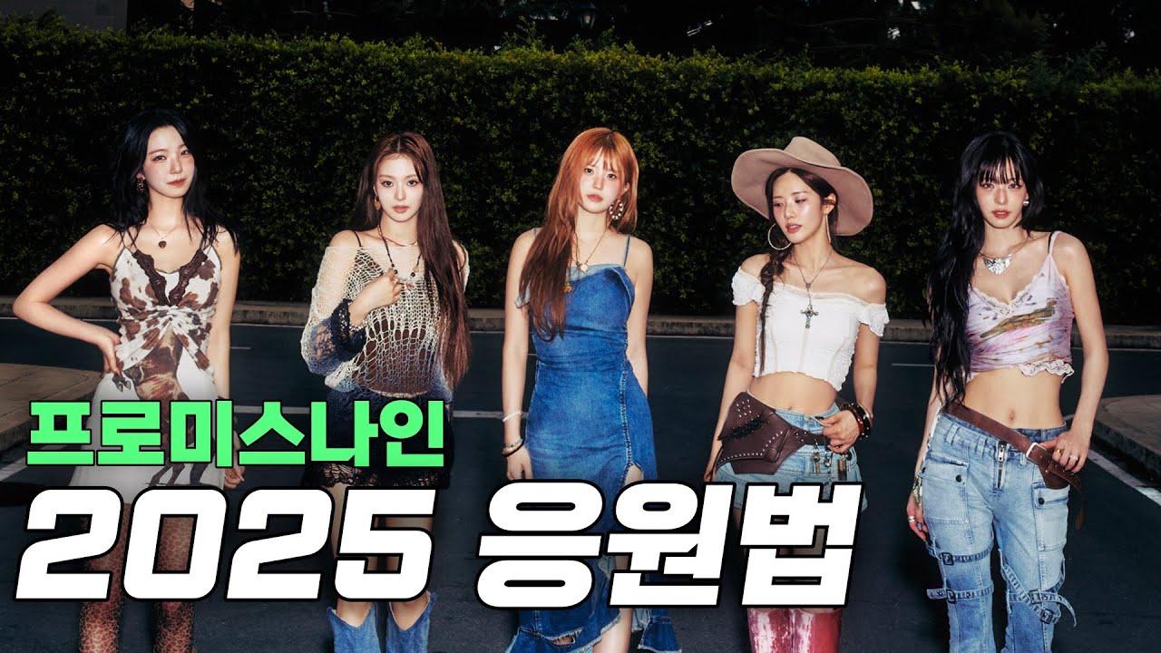 프로미스나인 2025 응원법