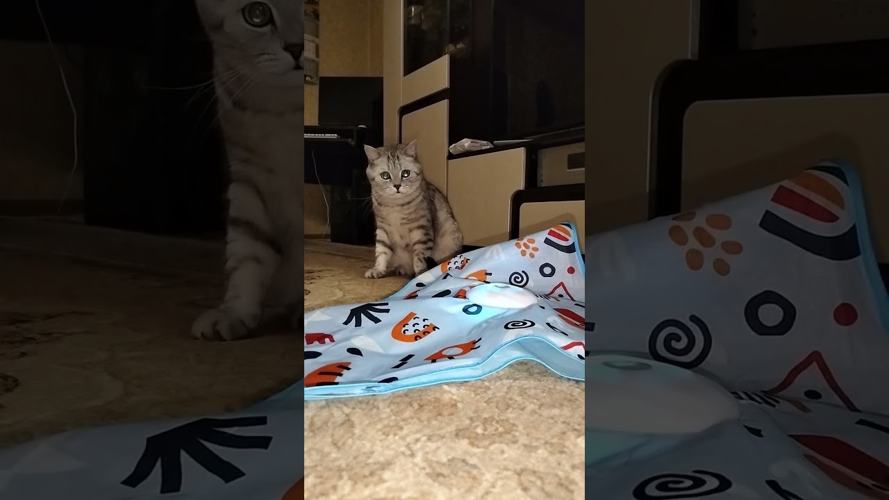 Новый телефон 