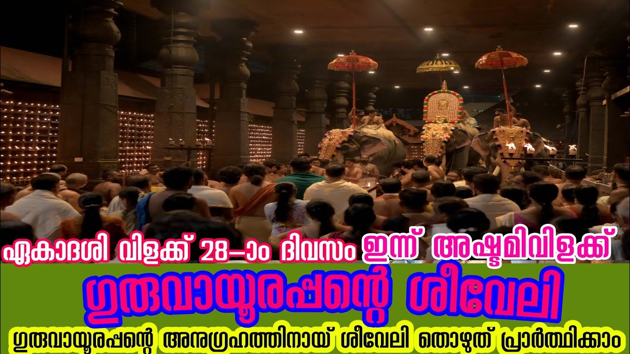 ഗുരുവായൂർ ക്ഷേത്രത്തിലെ ശീവേലിയും പ്രഭാത കാഴ്ച്ചകളും | 08/12/2024 | Guruvayur Temple Morning Shiveli