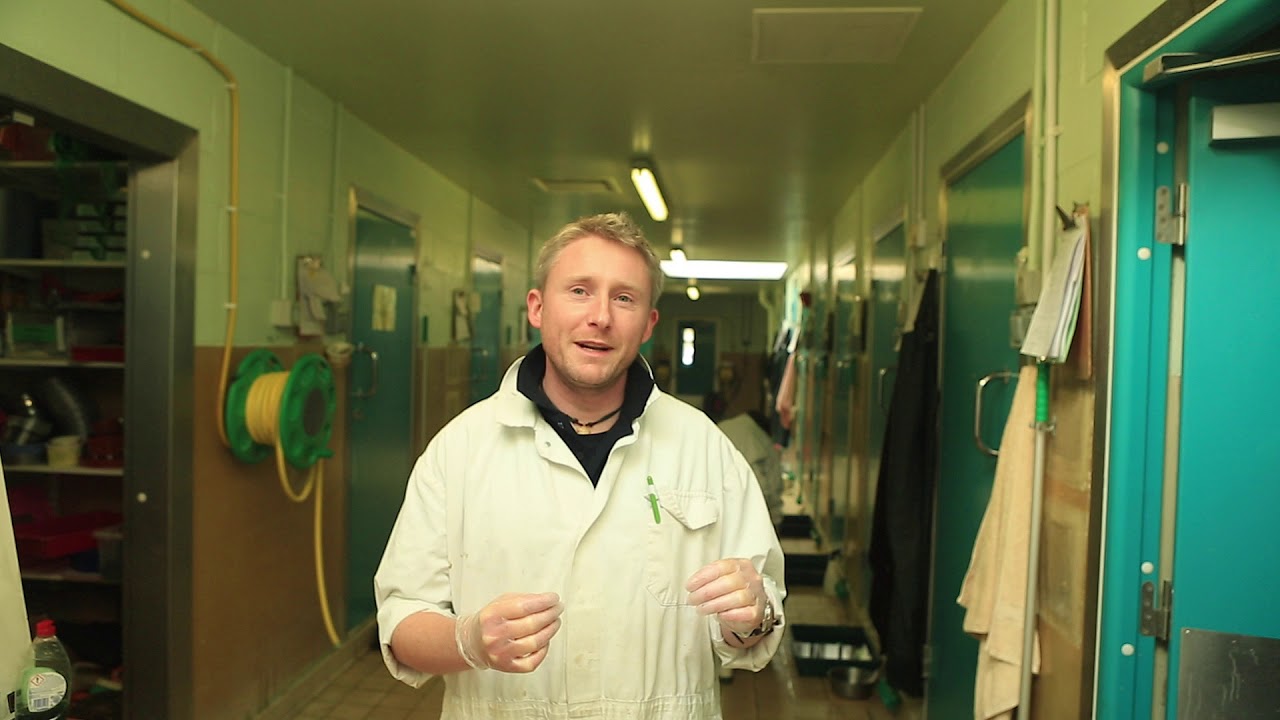 RSPCA East Winch - Seal Rescue Centre