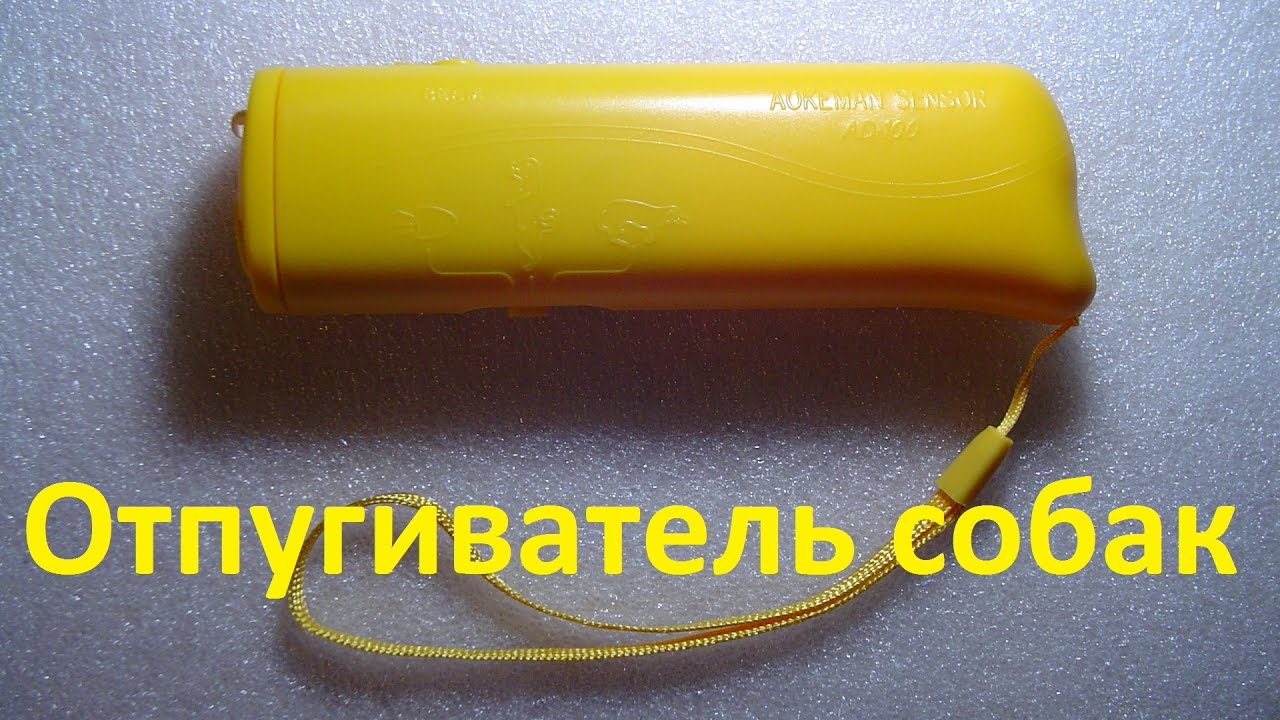 Ультразвуковой отпугиватель собак и фонарик - посылка из Китая