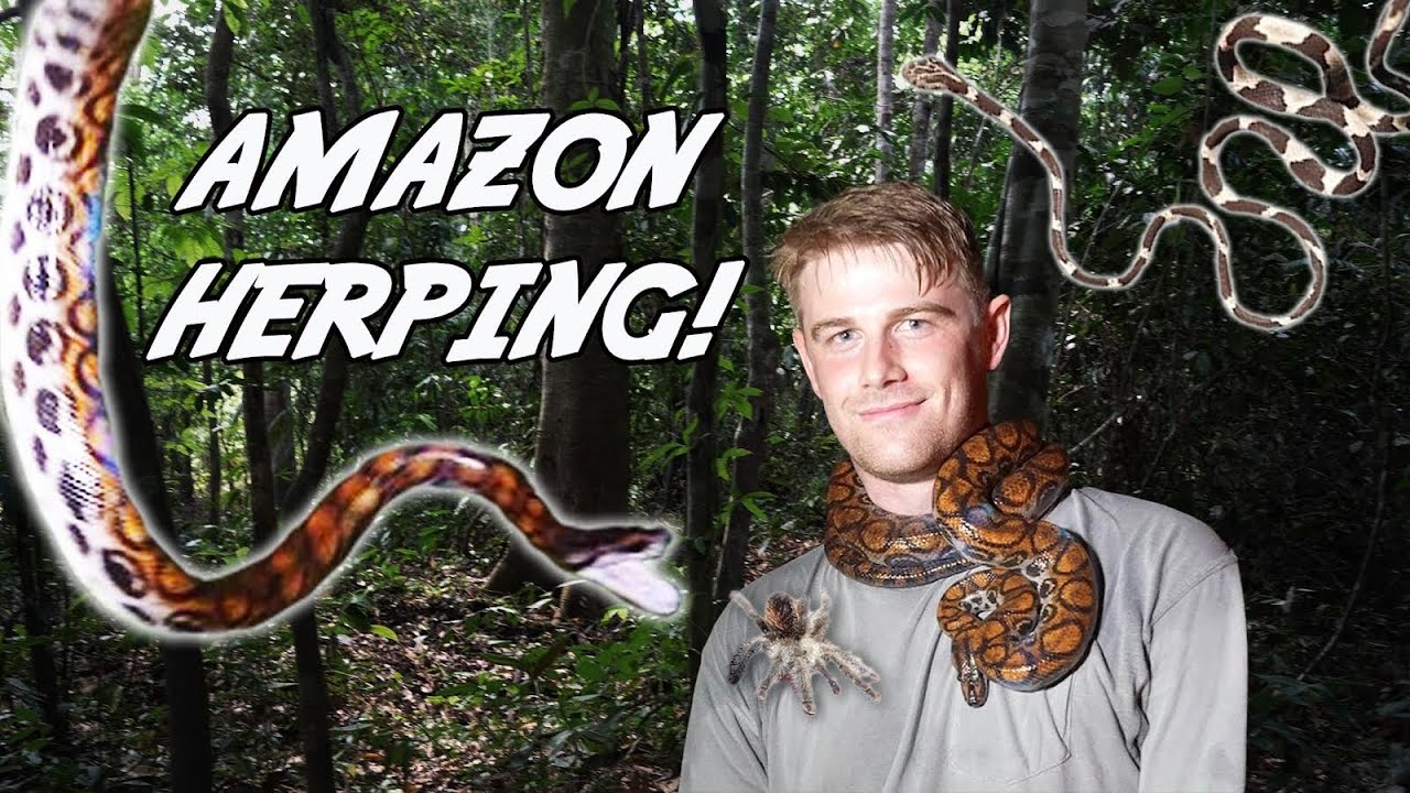Herping in the AMAZON: The Search for the Elusive Rainbow Boa!