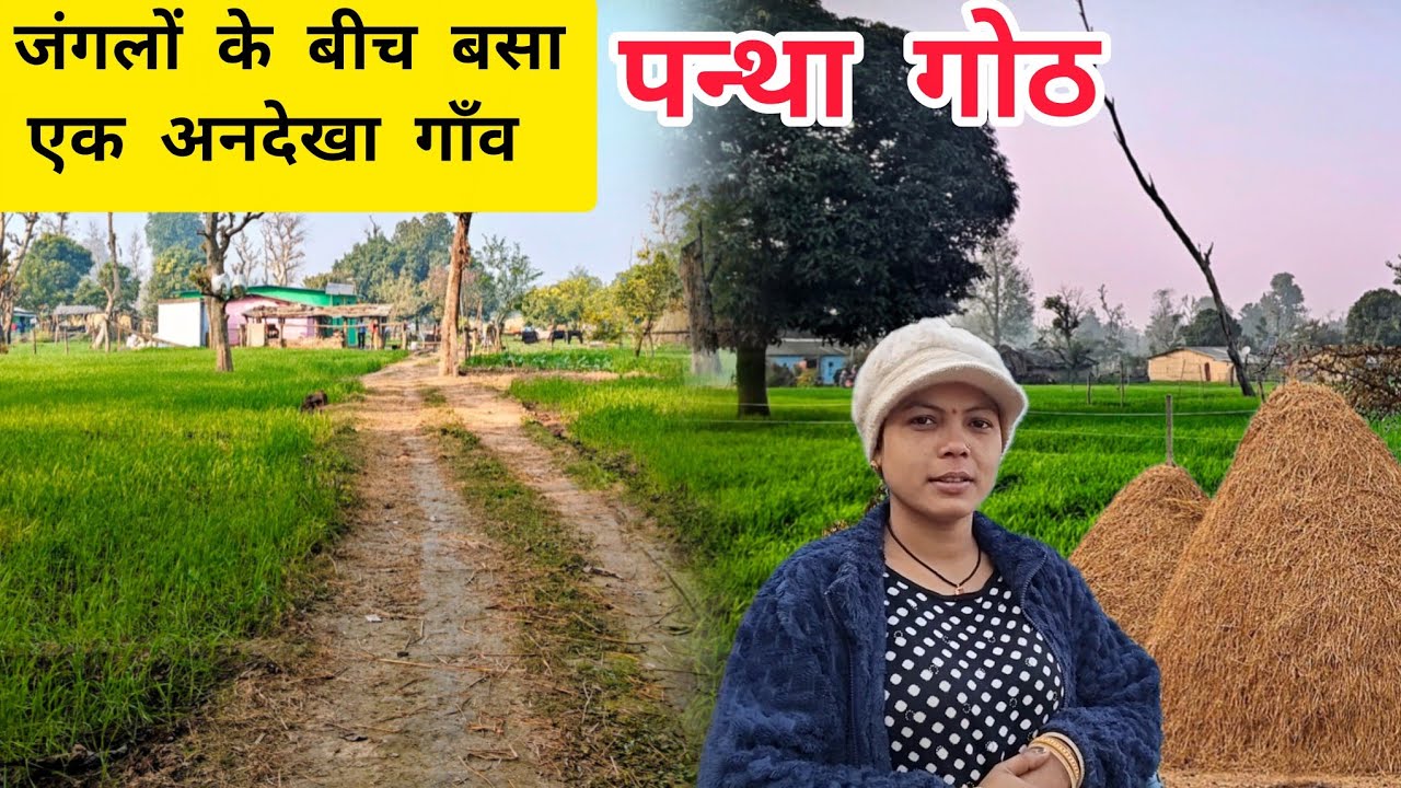 जंगलों और नदियों के बीचोंबीच बसा एक अनदेखा गांव - पंथागोठ #travel #utrakhandiculture #villagelife 
