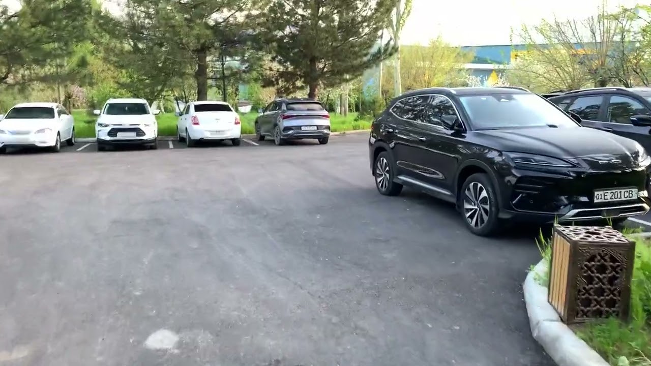 Пансионат Горняк НГМК территория комплекса на Чарваке