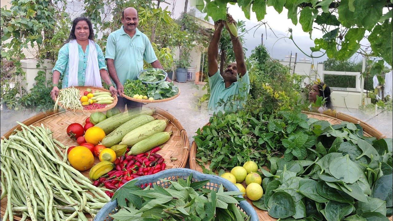 Fresh organic fruits and vegetables || ramyaambati ||