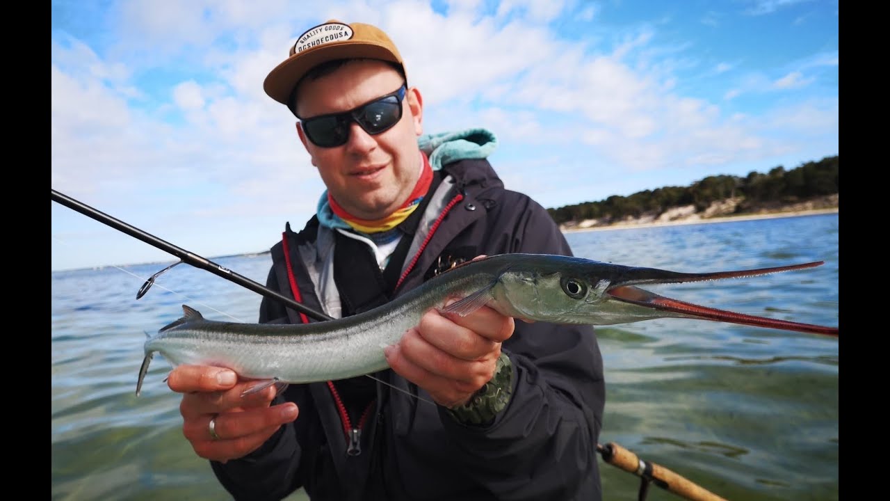 Majowa belona | Zatoka Pucka | Wędkarstwo Fishing Рыбалка