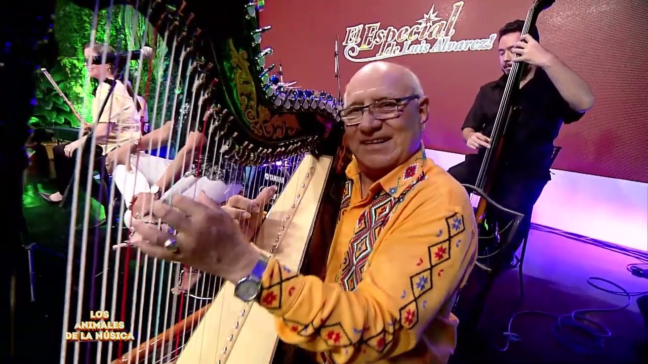 21 Panambi hovy - Los Animales de la Música.