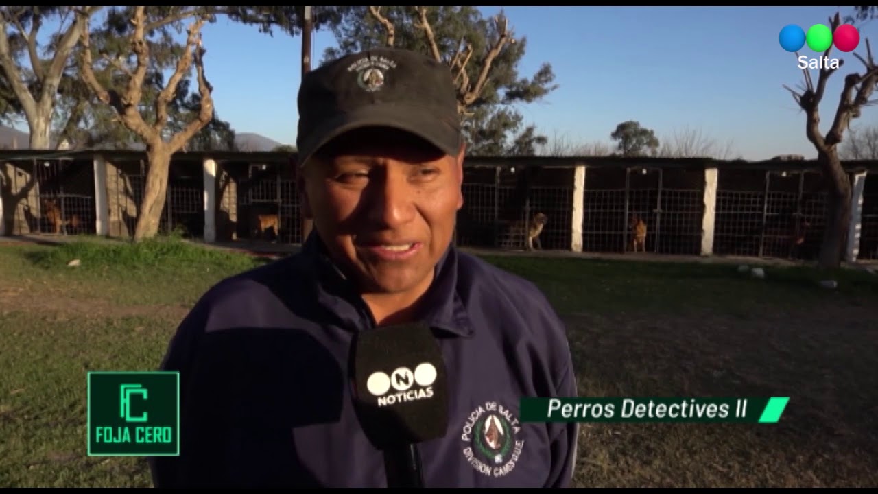 ¿Queres saber cómo entrenan  los perros que buscan drogas, divisas y personas?