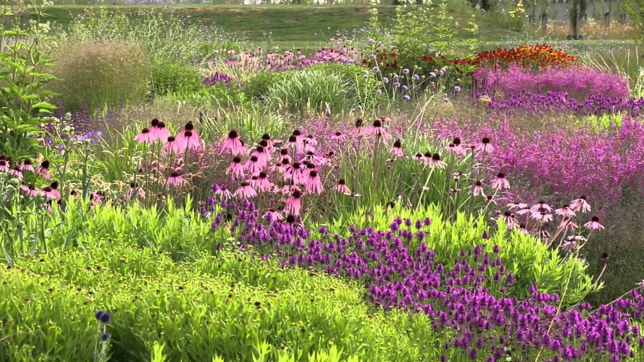 De  Vlinderhof  juli 2015 Part 2