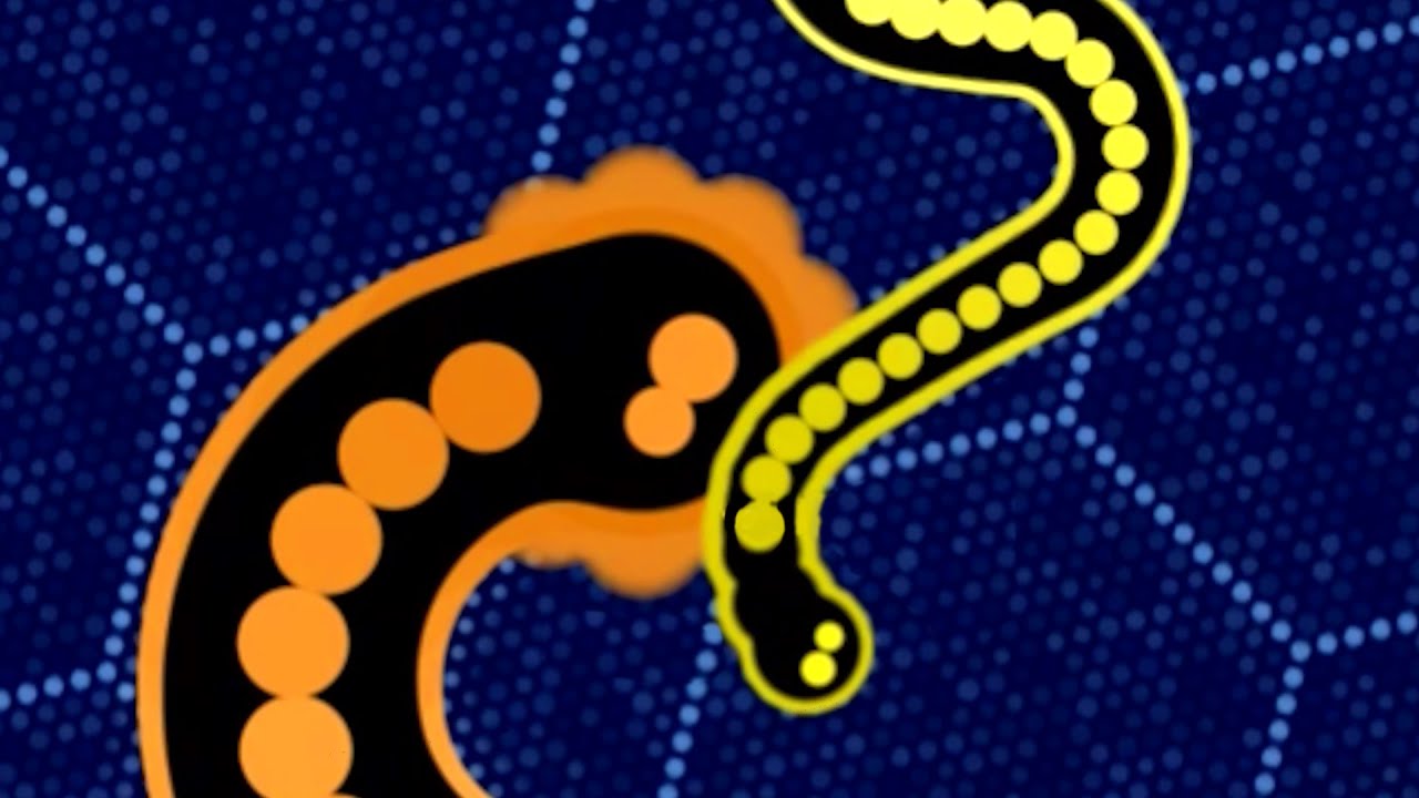 The Final Moment | Gulper.io