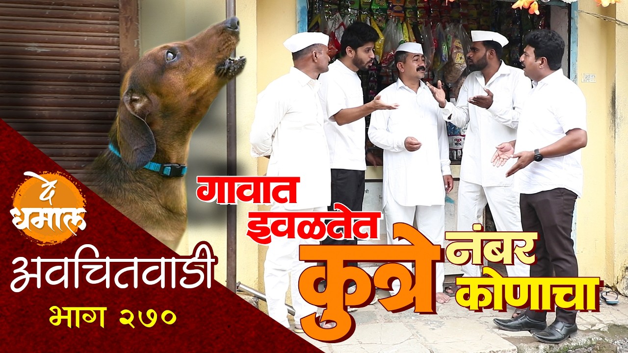 गावात इवळतेत कुत्रे आता कोणाचा नंबर | अवचितवाडी भाग - २७० | Avchitwadi Episode - 270 | De Dhamal