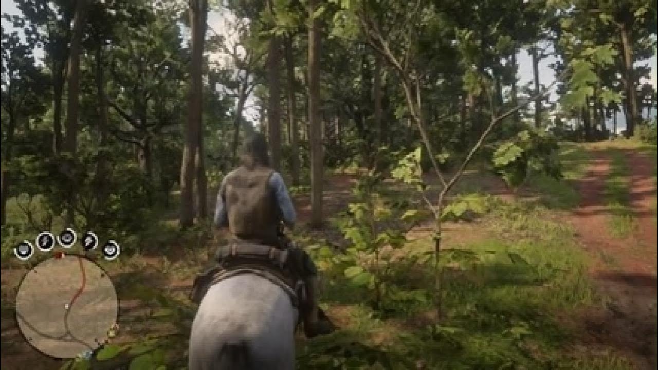 Red Dead Redemption 2_ بكت سجين من الشرطه
