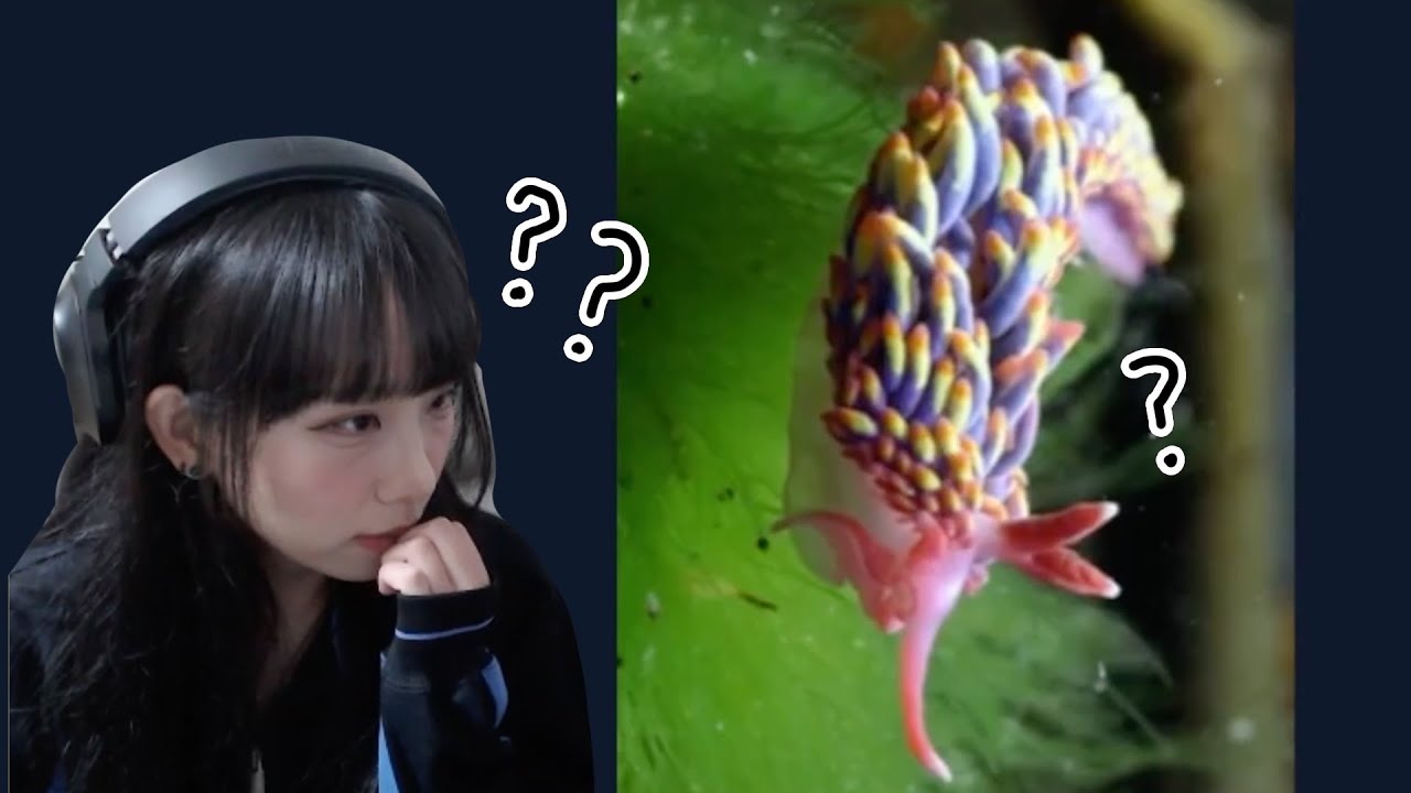 뭐가 AI가 만든 걸까용?