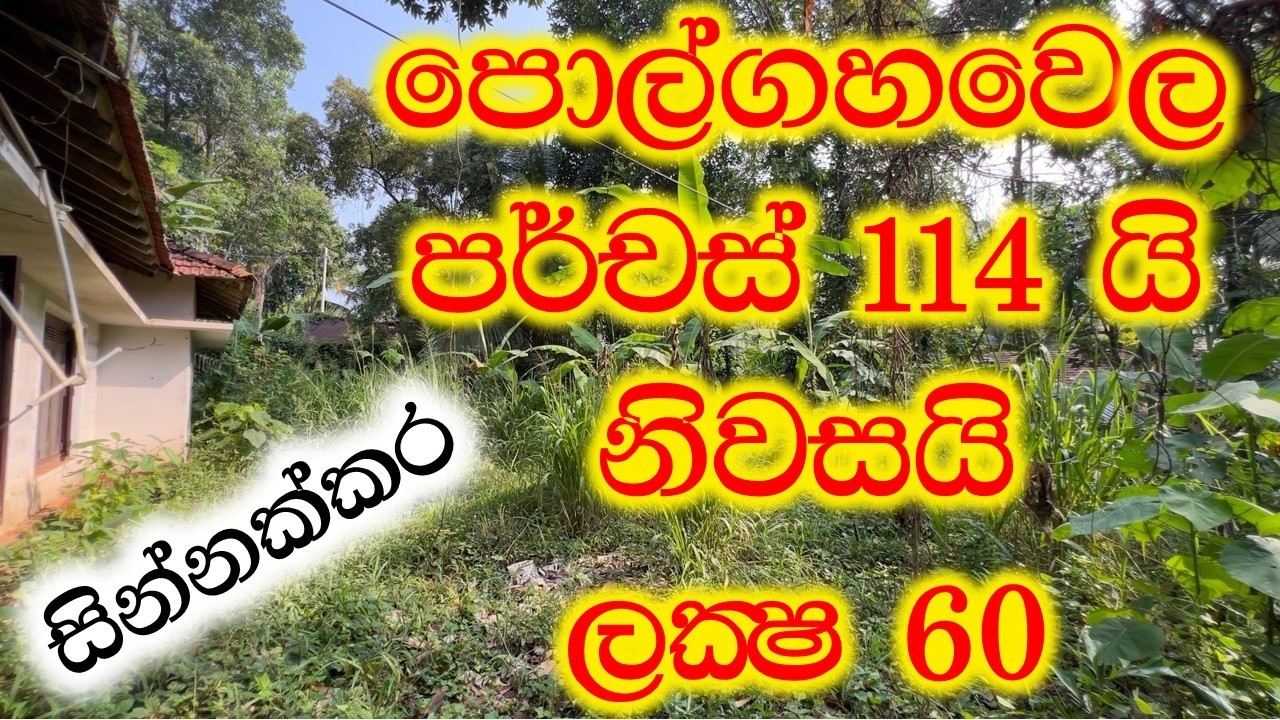 කුරුණෑගල පොල්ගහවෙලින් ඉඩමක් සමග නිවස💪💪😍 | real estate | land for sale | Luxury Sri Lanka | maddumaya