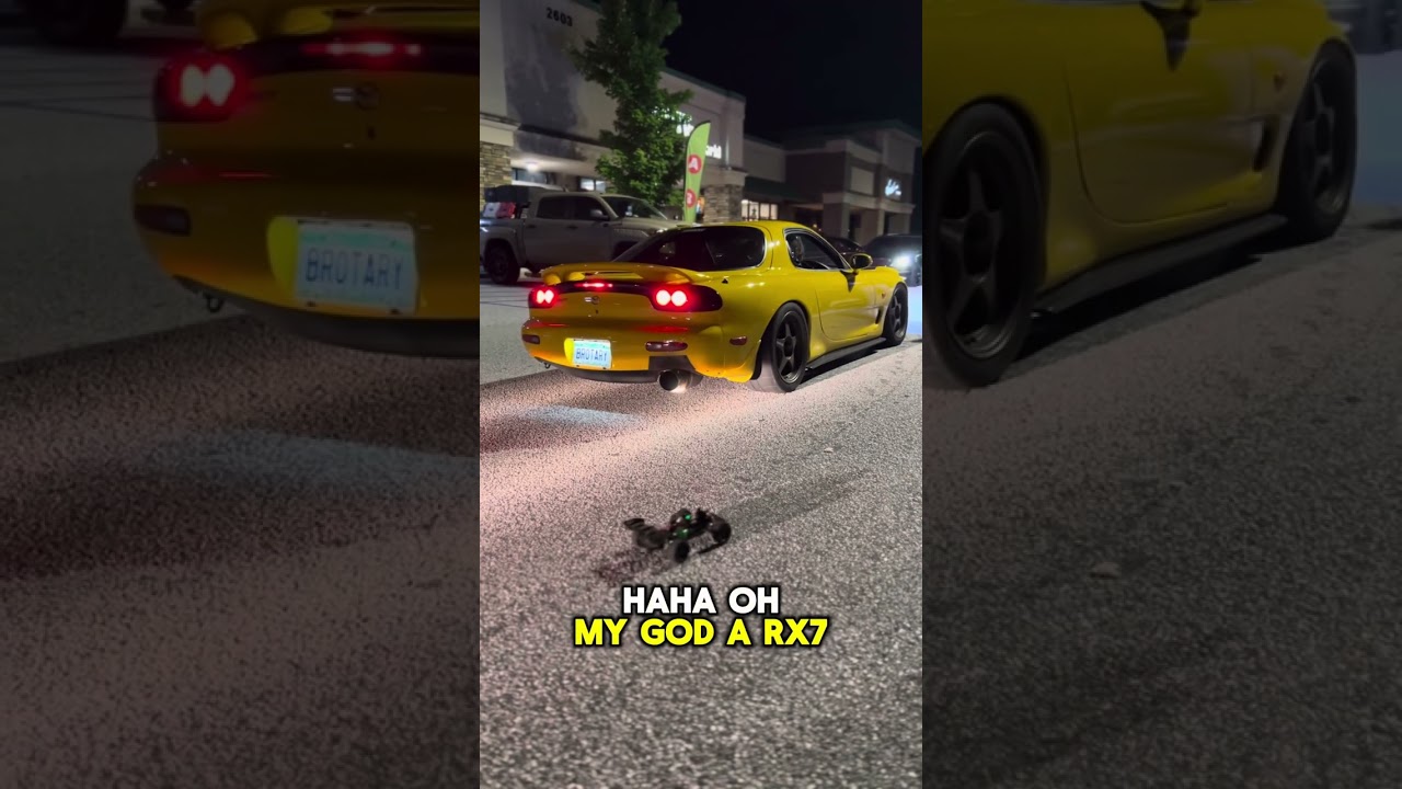 SELFVATION CAR MEET