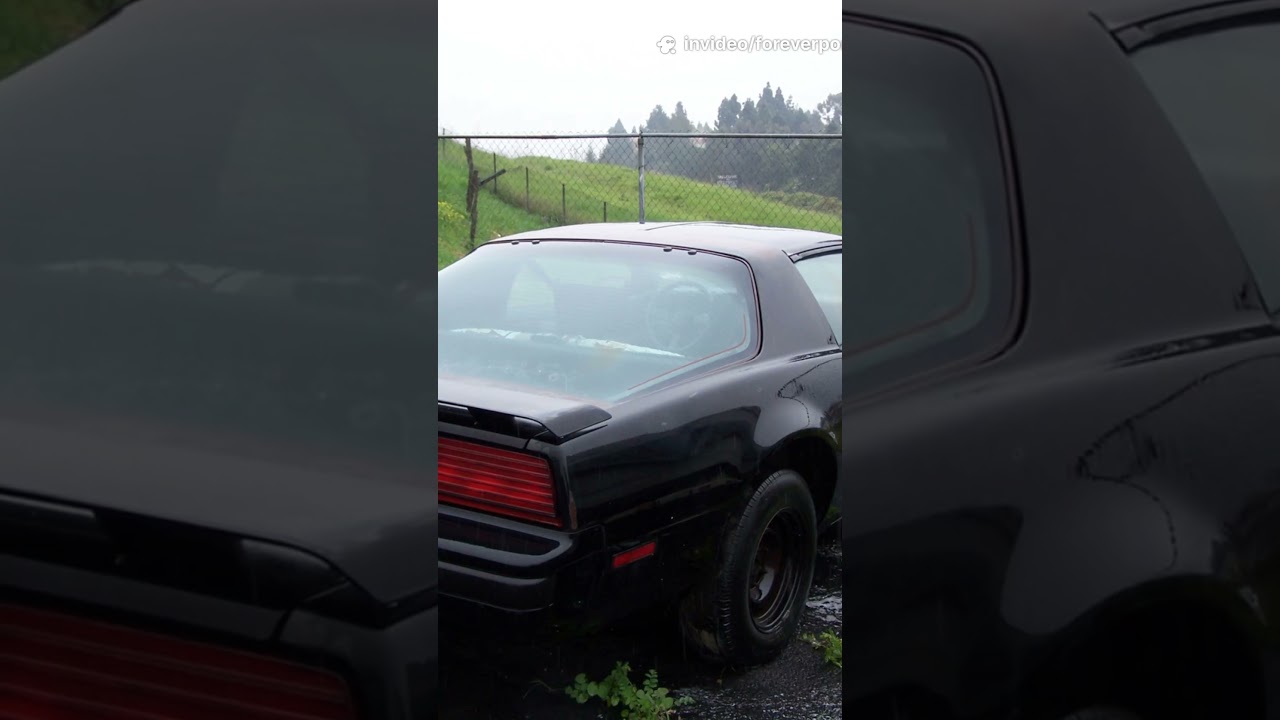What is the slowest Firebird? We’ve got the answer!