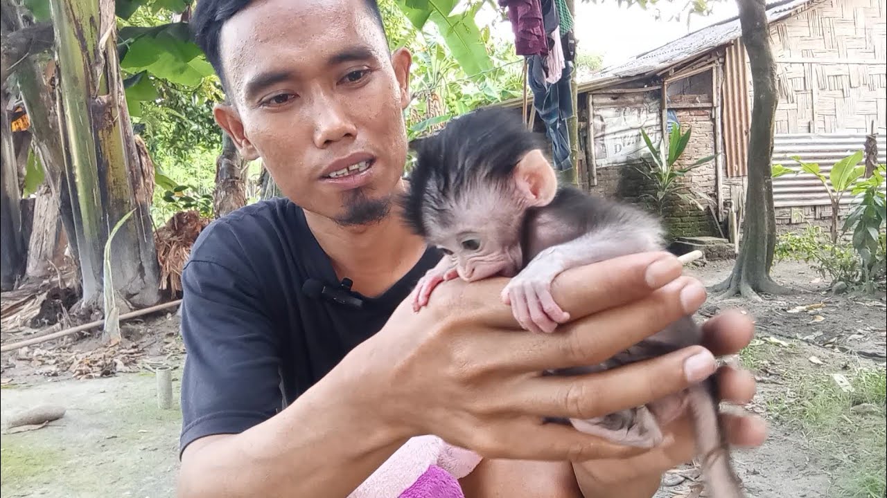 Wow, even though he's a small baby, he drinks a mountain of milk. 