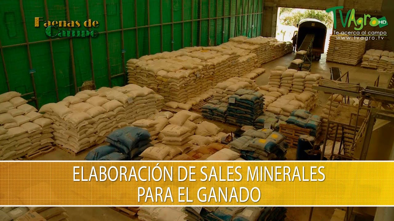 Elaboracion de Sales Minerales para el Ganado - TvAgro por Juan Gonzalo Angel Restrepo