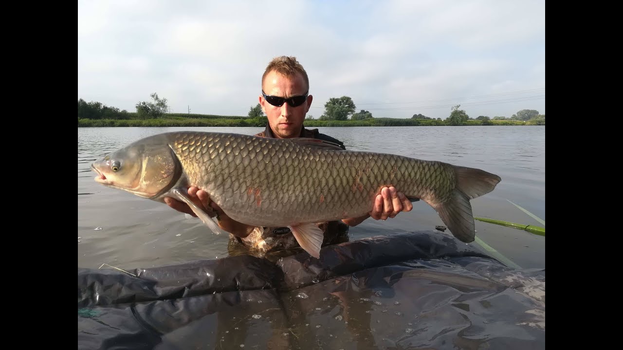 Projekt Wisła - odc.1- Amur 11kg