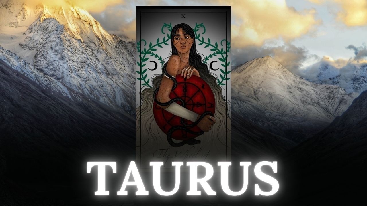 TAURUS 🤣🥂OMG!! THEY HAVE CLEARLY INFORMED THE 3RD PARTY THAT THEY’RE IN LOVE WITH YOU🔥 FEBRUARY 2026