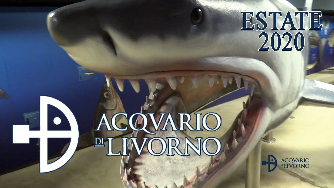 ACQUARIO DI LIVORNO - Estate 2020