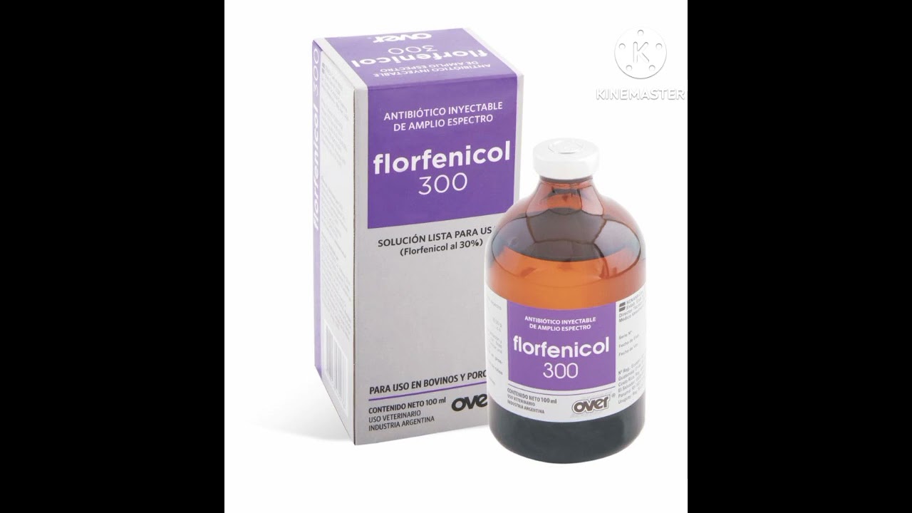 فلورفينكول florfenicol 300(مضاد حيوى لالتهاب الجهاز التنفسى،الهضمى)