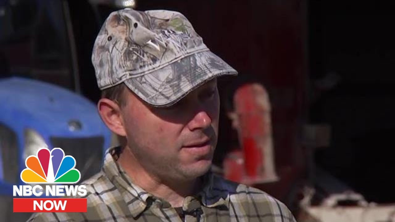 Struggling Wisconsin Dairy Farmer: &lsquo;Getting Bigger Is Not Always Better&rsquo; | NBC News Now