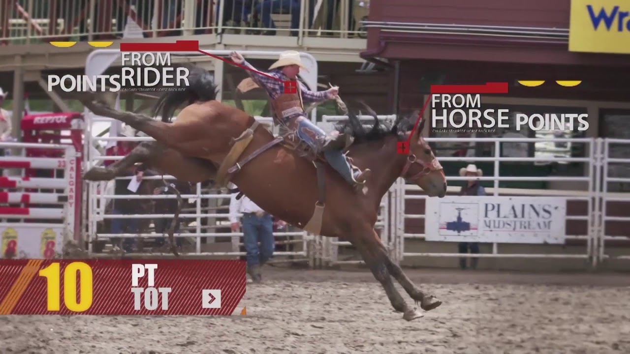 Calgary Stampede Rodeo 101: Saddle Bronc