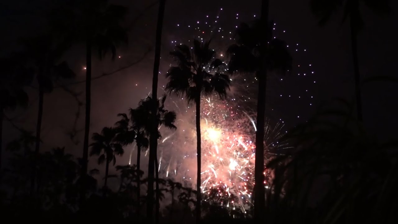 The Final Night to 2026 [2026 Vlog 2]