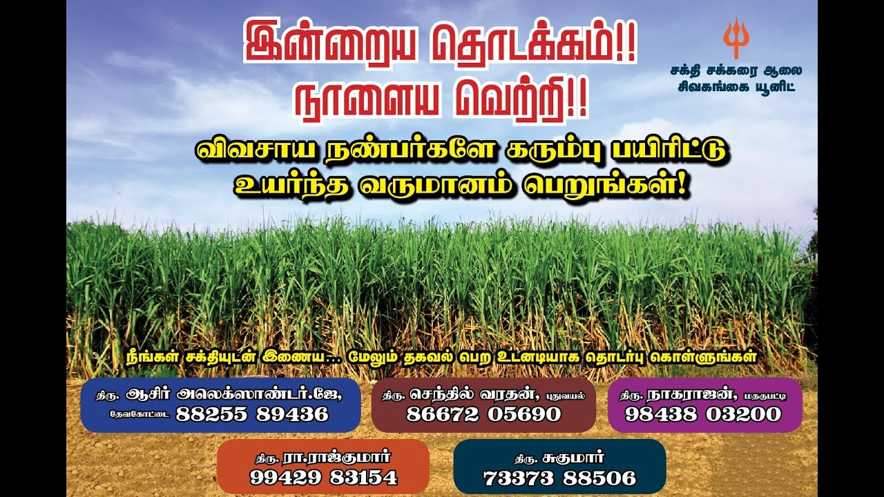 Sakthi Sugars What we do ? #sakthisugars
