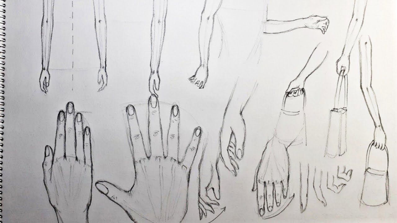 How to Draw Arms and Hands