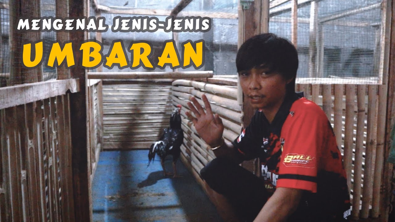 MENGENAL JENIS JENIS UMBARAN