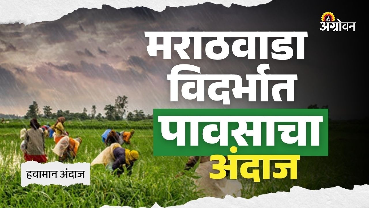Unseasonal Rain: पूर्व विदर्भात वादळी पावसाचा येलो अलर्ट | Agrowon
