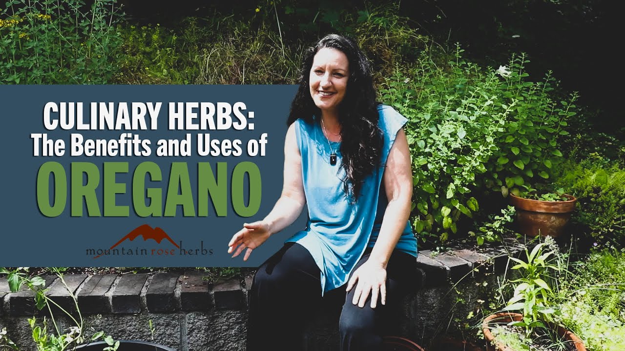 Culinary Herbs: The Benefits and Uses of Oregano