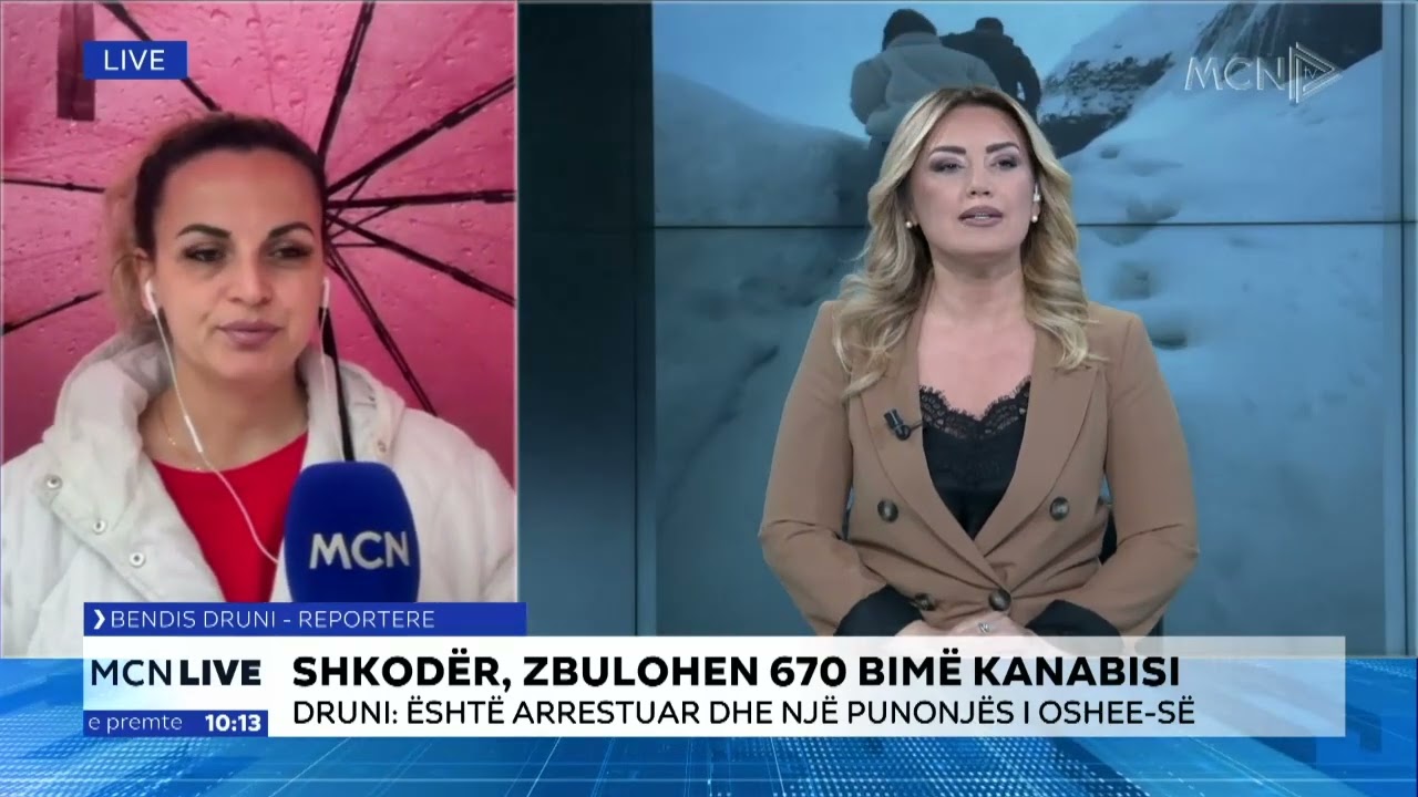 Zbulohen 670 bimë kanabisi në Shkodër/ Druni: Tre të arrestuar, mes tyre një punonjës i OSHEE-së