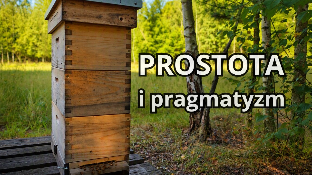 Miało być odrabianie strat... a wyszło całkiem nieźle 🐝