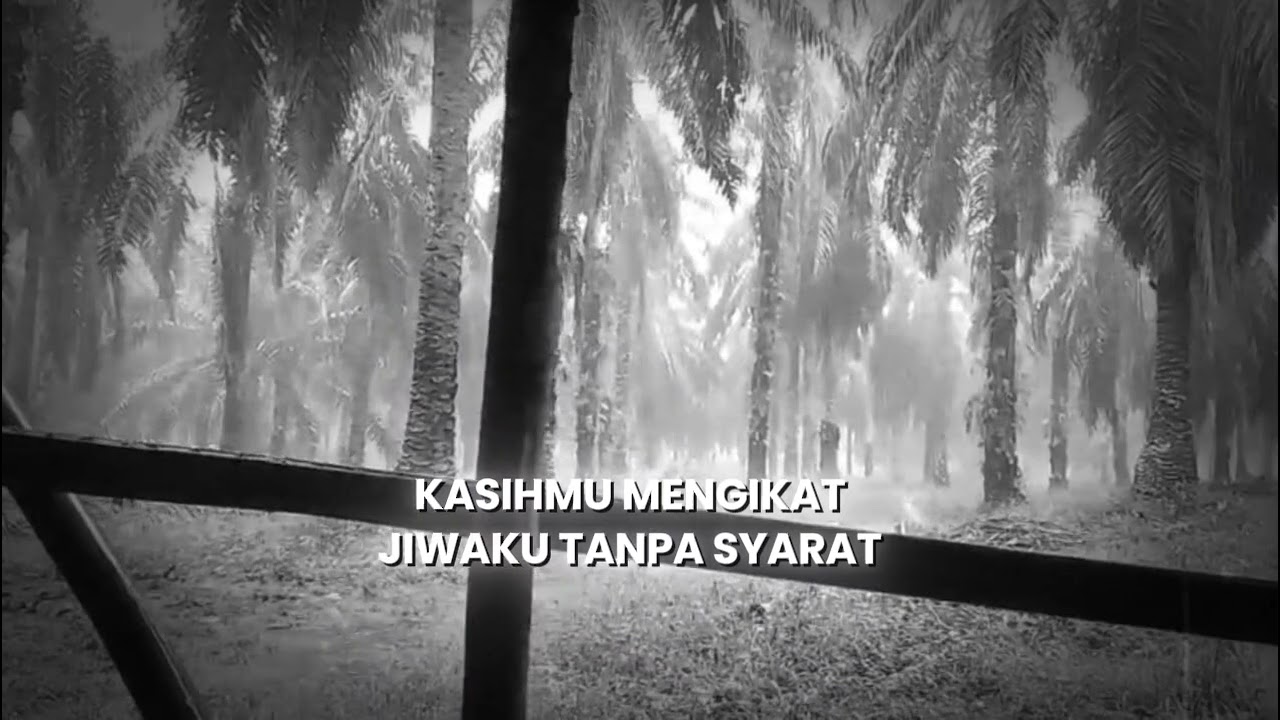 Tak Pernah Sesayang Ini || lagu slowrock Malaysia terbaru 2026