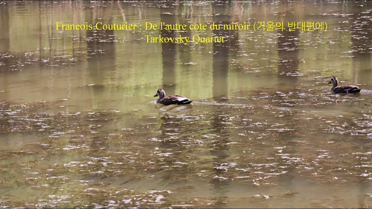 Couturier : XII. De l'autre cote du miroir (거울의 반대편에)