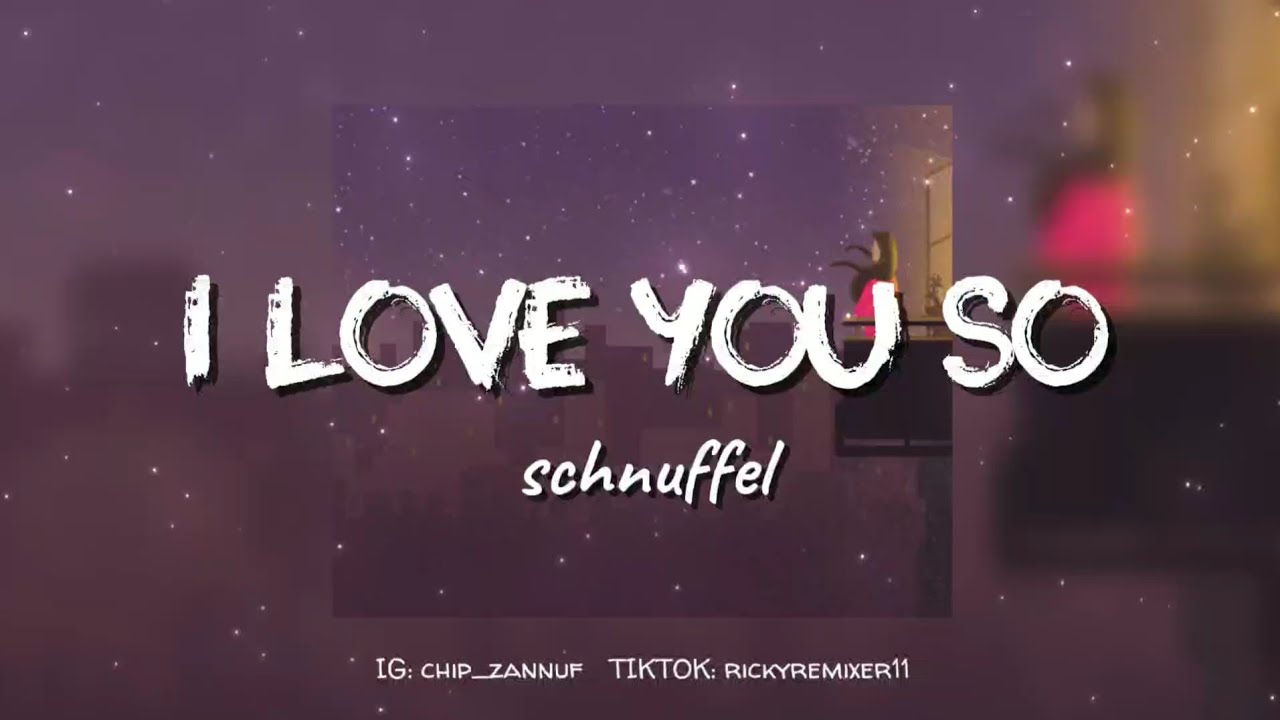 schnuffel - I LOVE YOU SO ❤ (Slowed + Reverb) Lyrics + Terjemahan