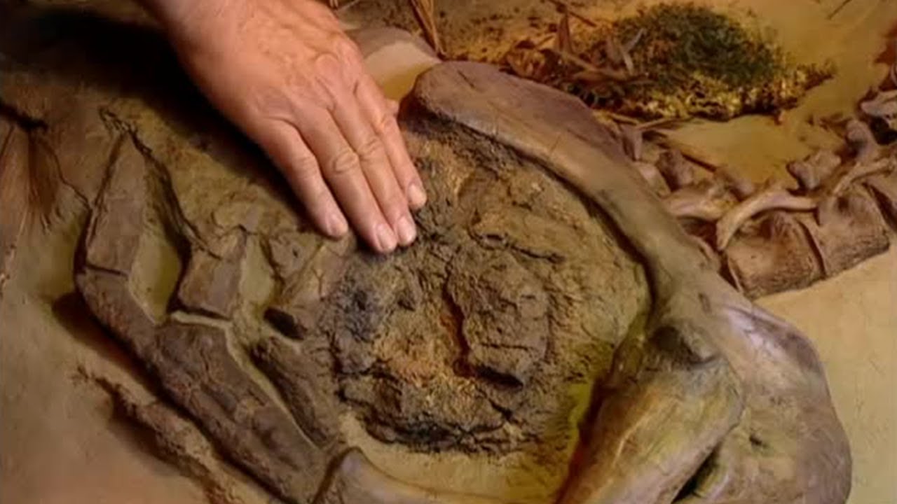 Dinosaur CT Scan | Walking with Dinosaurs | BBC Studios