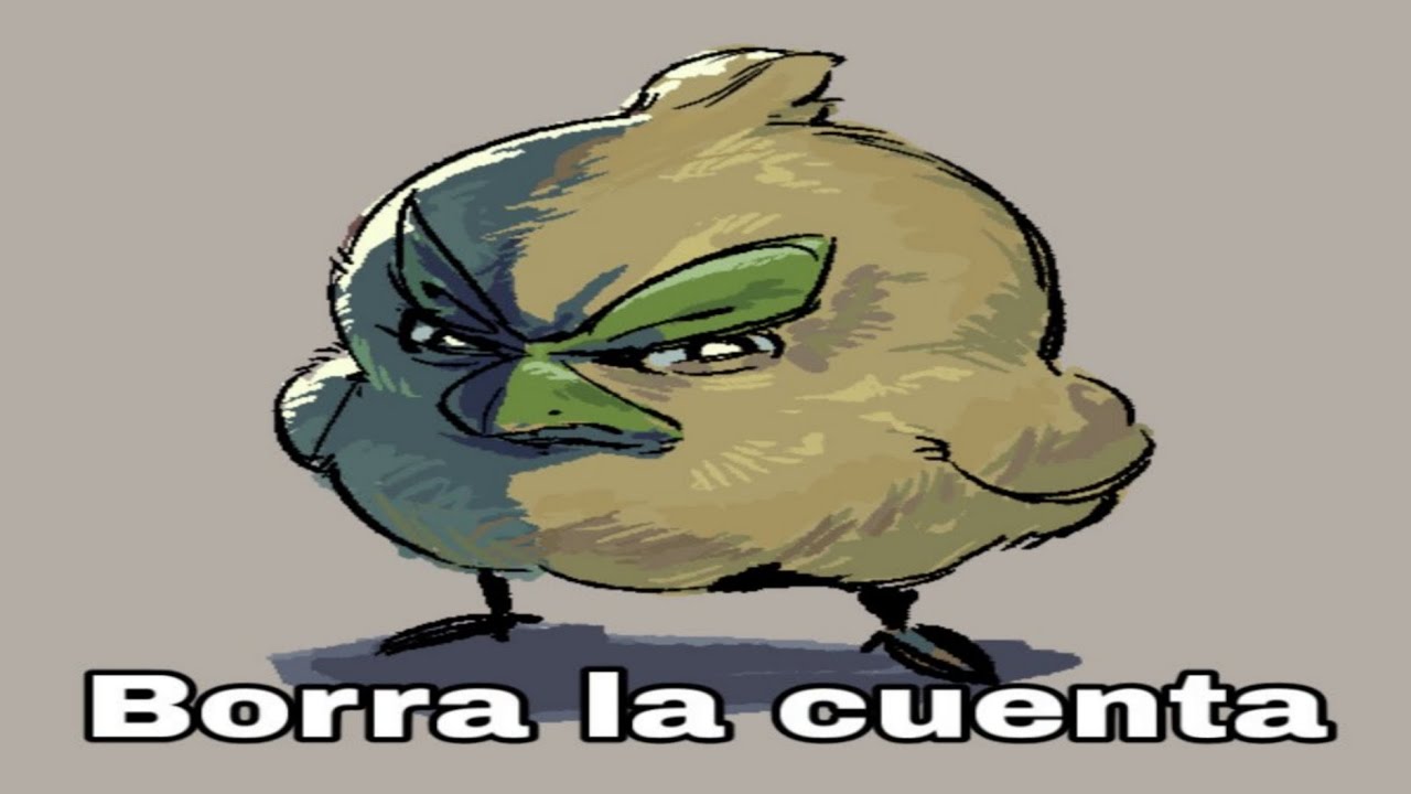 VIDEOS RANDOM #37 / SHITPOSTING COMPILATION / MEMES