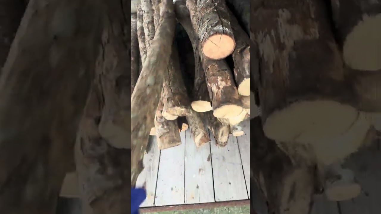 This Is TOO Satisfying&hellip; 🔥 Wood to Fire in Seconds