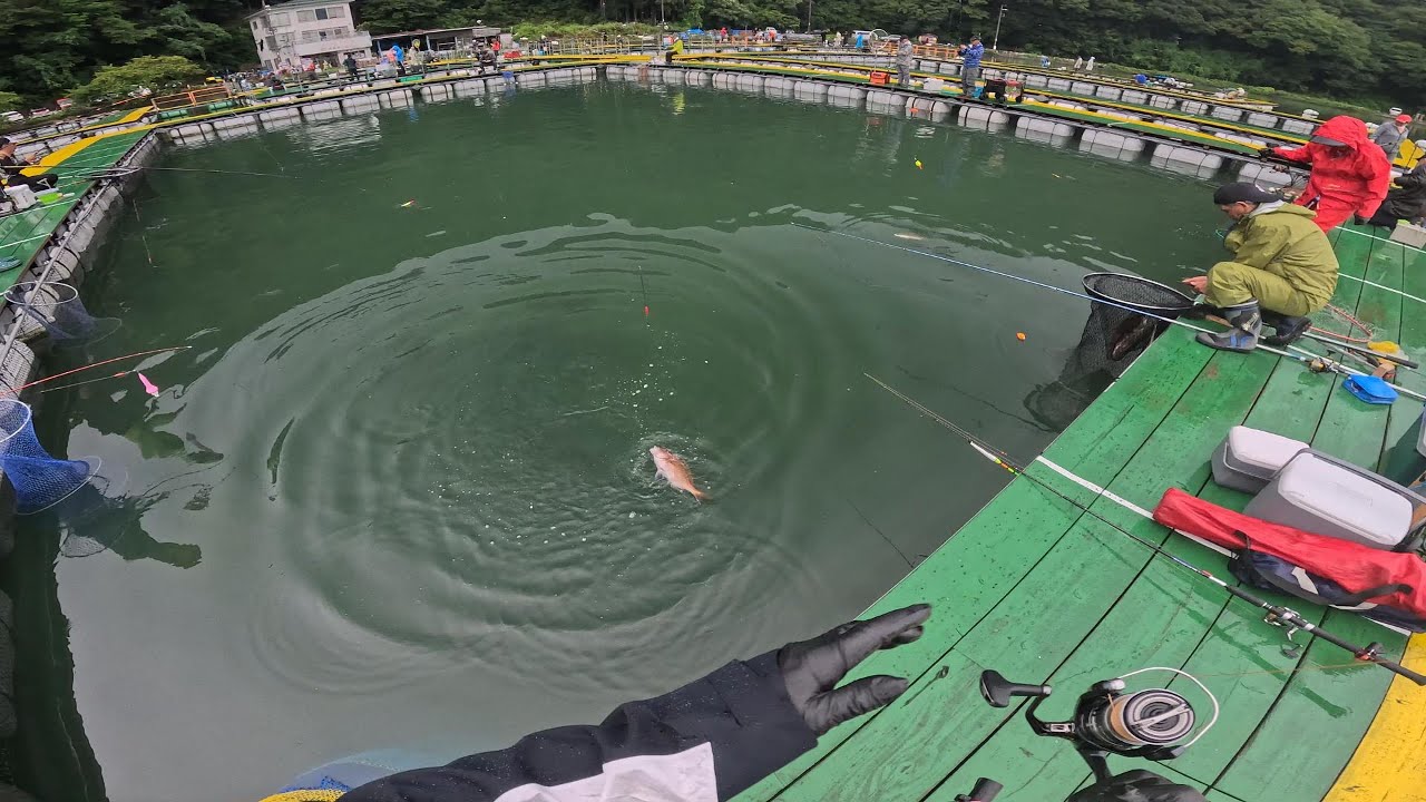フィッシングランド日向 - Fishing Land Hiruga - 2025/08/12 -Vd1