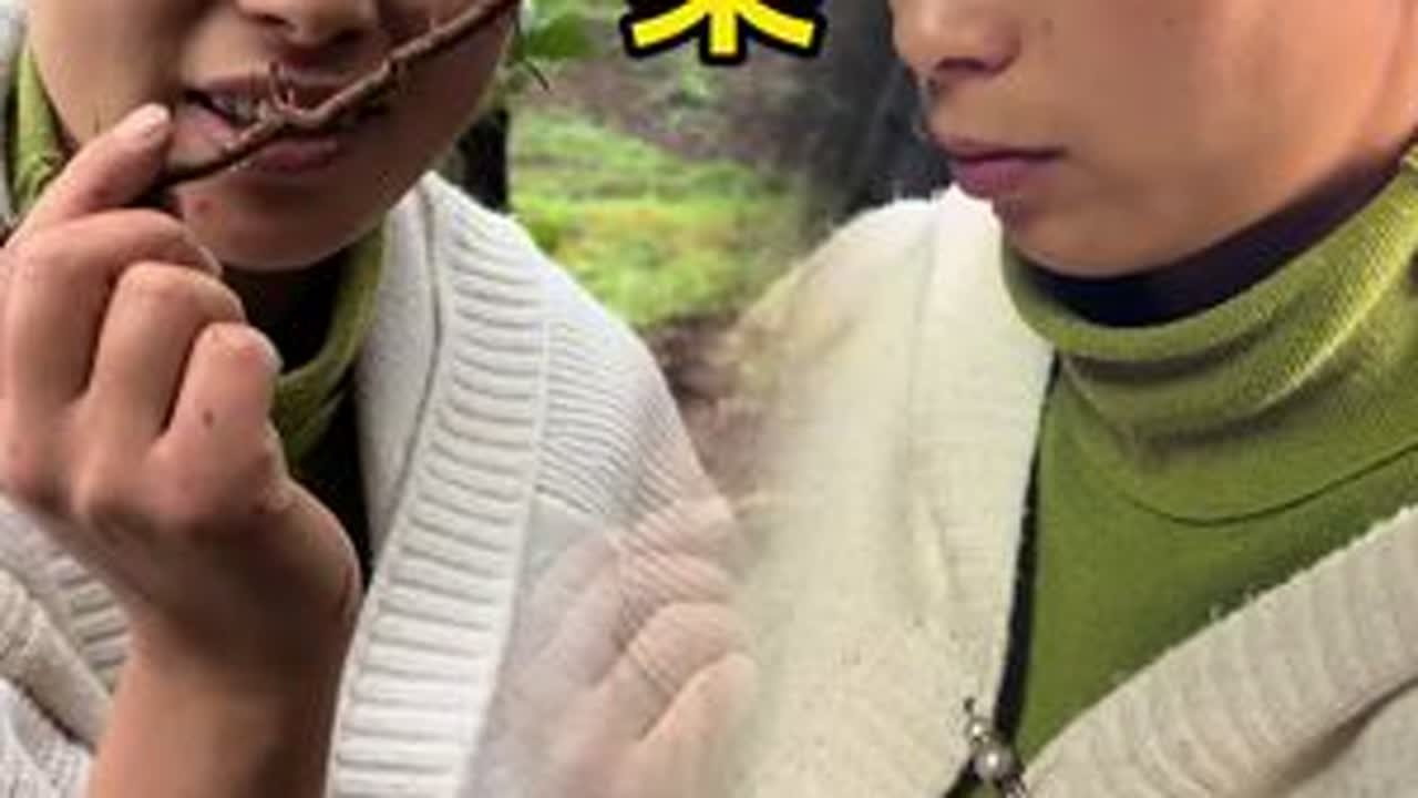山里遍地都是宝，今天去采的这个香料你们肯定没见过。#抖音记录农村生活 #新农人计划2025 #我的乡村生活 #泡蕨菜 #记录大山里的农村生活