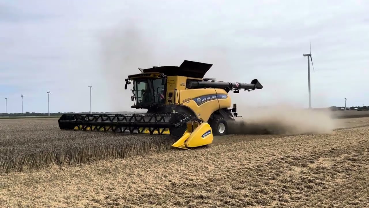 New Holland CX 8.90 on tracks - harvesting winterwheat