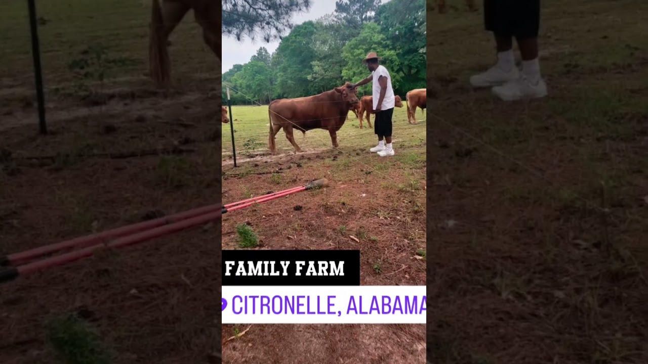 FAMILY FARM #alabama